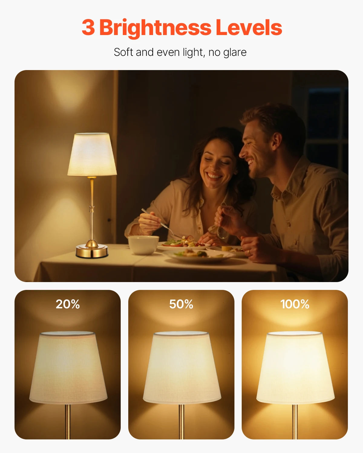 SucceBuy Cordless Rechargeable Desk Lamp With Adjustable Brightness